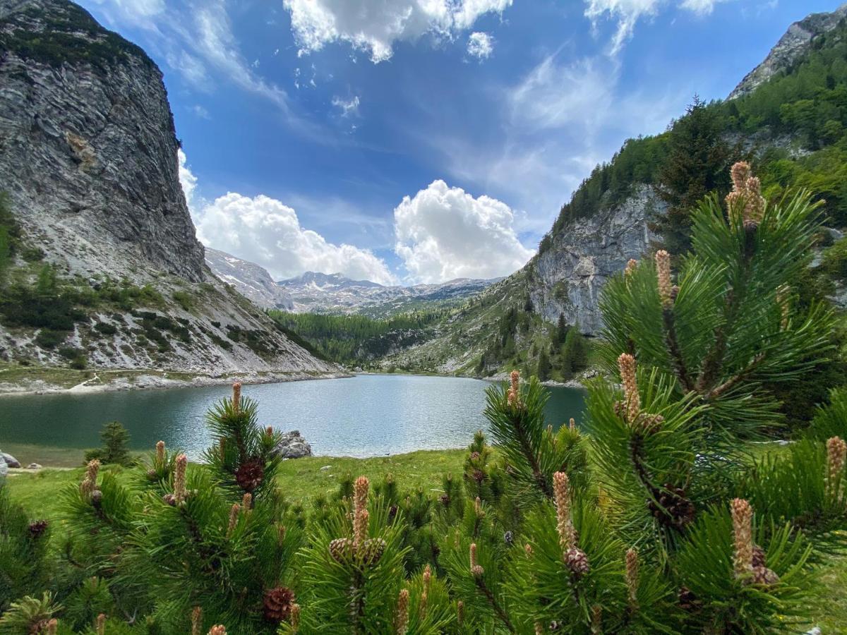 Hostel Soca Rocks Bovec Ngoại thất bức ảnh